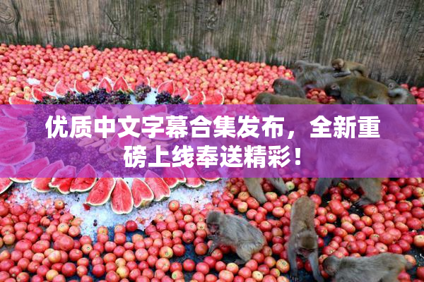 优质中文字幕合集发布，全新重磅上线奉送精彩！