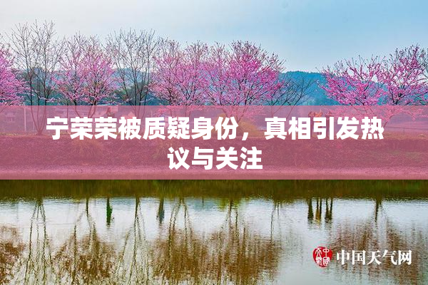 宁荣荣被质疑身份，真相引发热议与关注