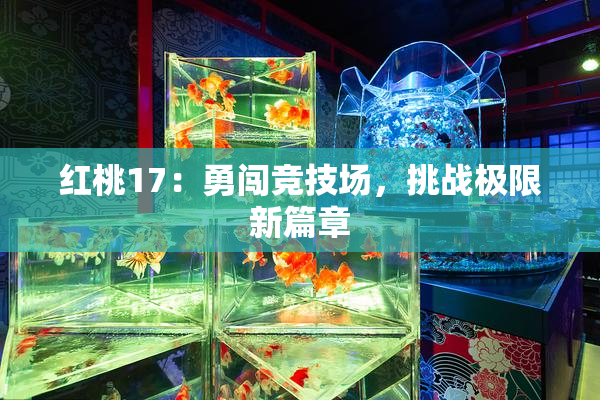 红桃17：勇闯竞技场，挑战极限新篇章
