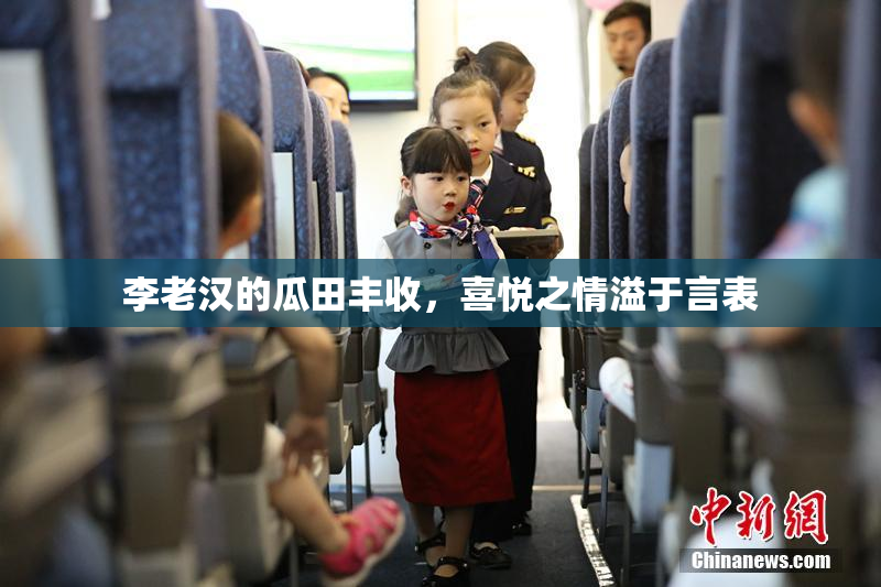 李老汉的瓜田丰收，喜悦之情溢于言表