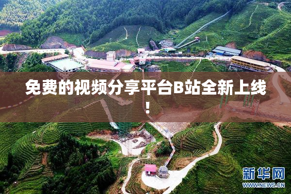免费的视频分享平台B站全新上线！