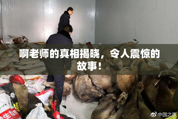 啊老师的真相揭晓，令人震惊的故事！