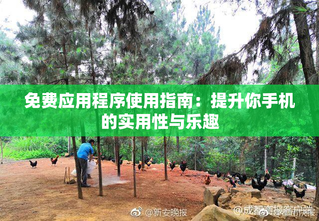 免费应用程序使用指南：提升你手机的实用性与乐趣
