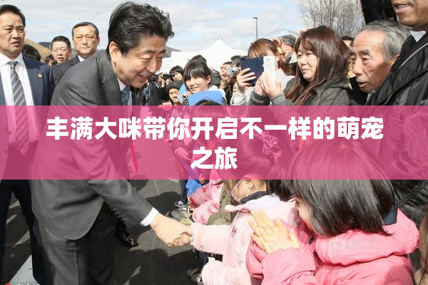 丰满大咪带你开启不一样的萌宠之旅
