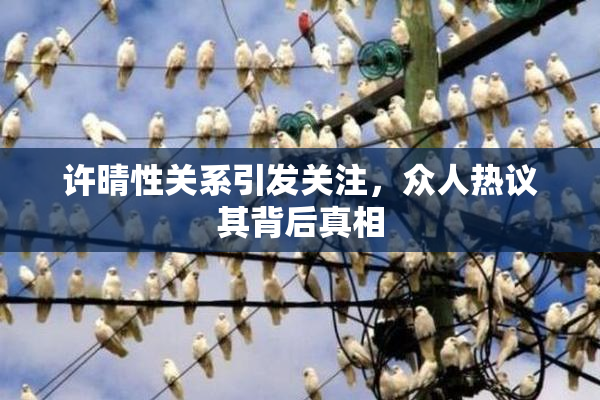 许晴性关系引发关注，众人热议其背后真相