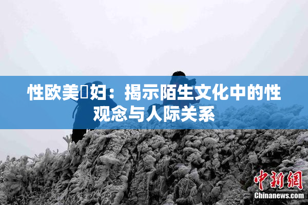 性欧美婬妇：揭示陌生文化中的性观念与人际关系