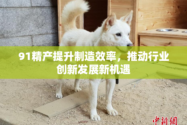91精产提升制造效率，推动行业创新发展新机遇