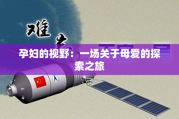 孕妇的视野：一场关于母爱的探索之旅