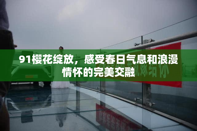 91樱花绽放，感受春日气息和浪漫情怀的完美交融