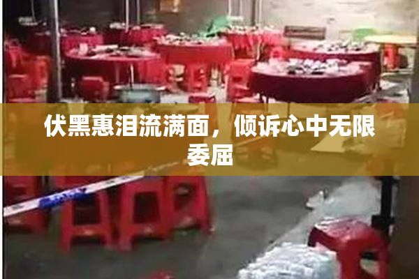 伏黑惠泪流满面，倾诉心中无限委屈