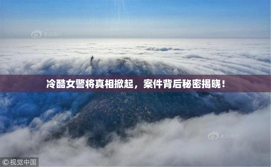 冷酷女警将真相掀起，案件背后秘密揭晓！