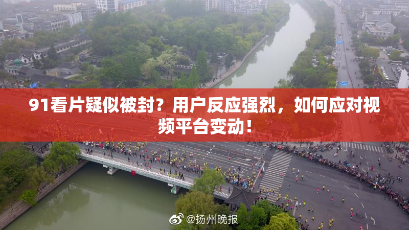 91看片疑似被封？用户反应强烈，如何应对视频平台变动！
