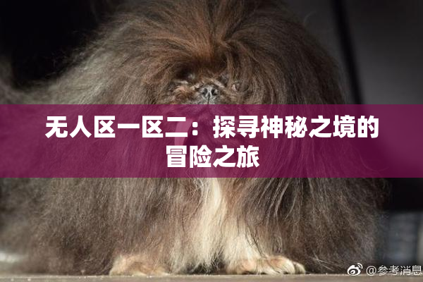 无人区一区二：探寻神秘之境的冒险之旅
