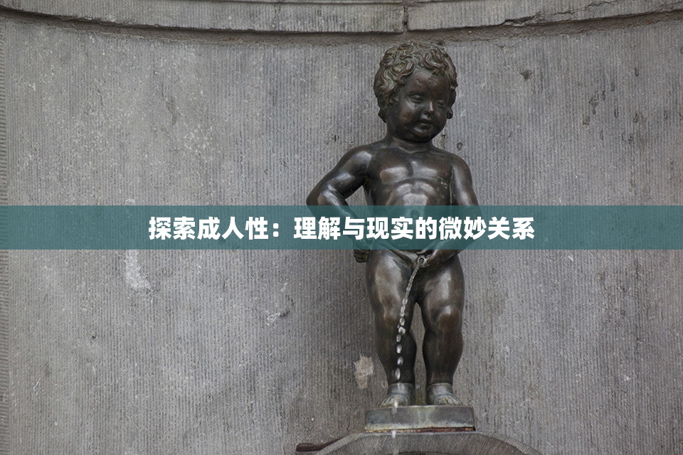 探索成人性：理解与现实的微妙关系