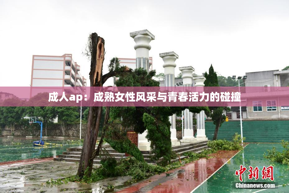成人ap：成熟女性风采与青春活力的碰撞