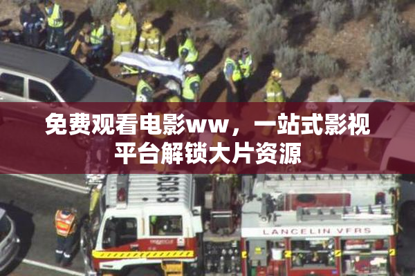 免费观看电影ww，一站式影视平台解锁大片资源