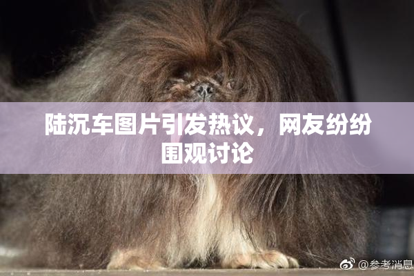 陆沉车图片引发热议，网友纷纷围观讨论