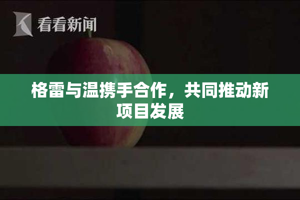 格雷与温携手合作，共同推动新项目发展