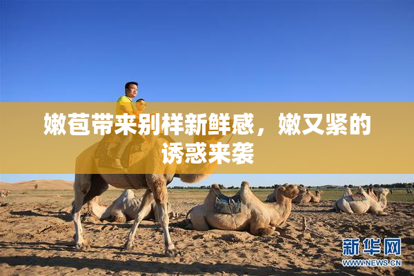嫩苞带来别样新鲜感，嫩又紧的诱惑来袭