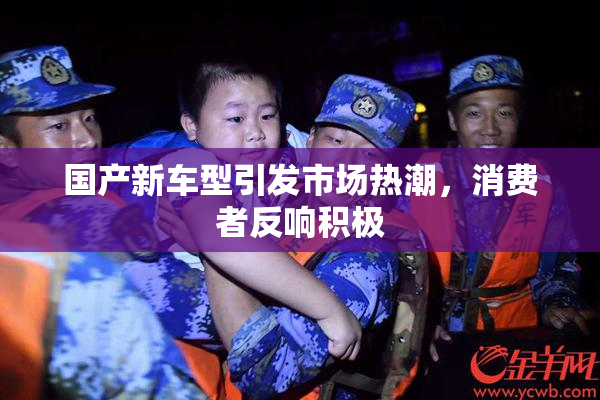 国产新车型引发市场热潮，消费者反响积极