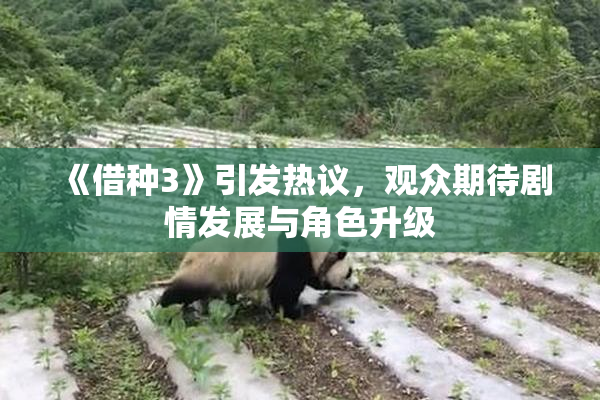 《借种3》引发热议，观众期待剧情发展与角色升级