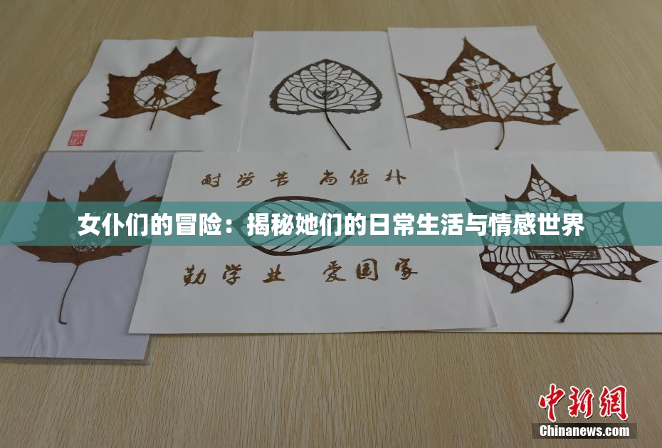 女仆们的冒险：揭秘她们的日常生活与情感世界