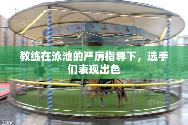教练在泳池的严厉指导下，选手们表现出色