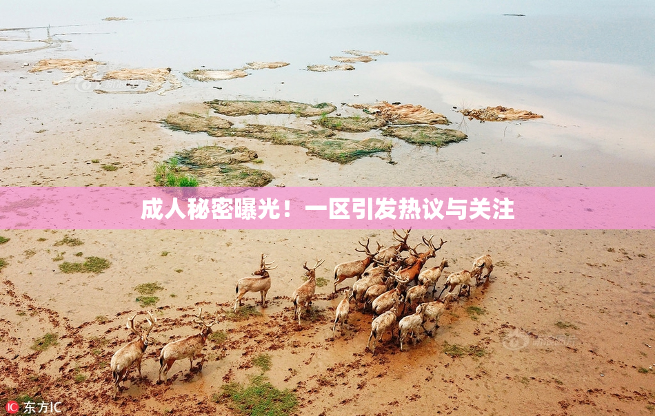 成人秘密曝光！一区引发热议与关注