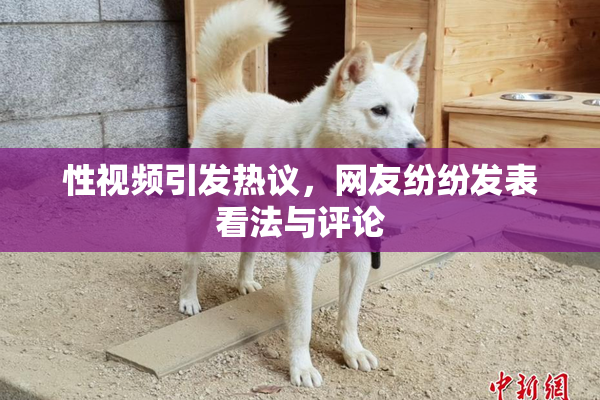 性视频引发热议，网友纷纷发表看法与评论