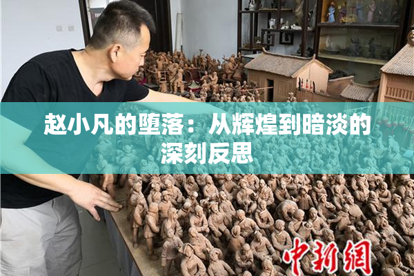 赵小凡的堕落：从辉煌到暗淡的深刻反思