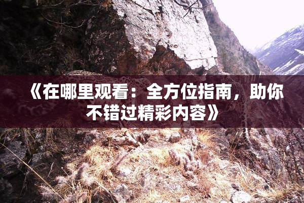 《在哪里观看：全方位指南，助你不错过精彩内容》
