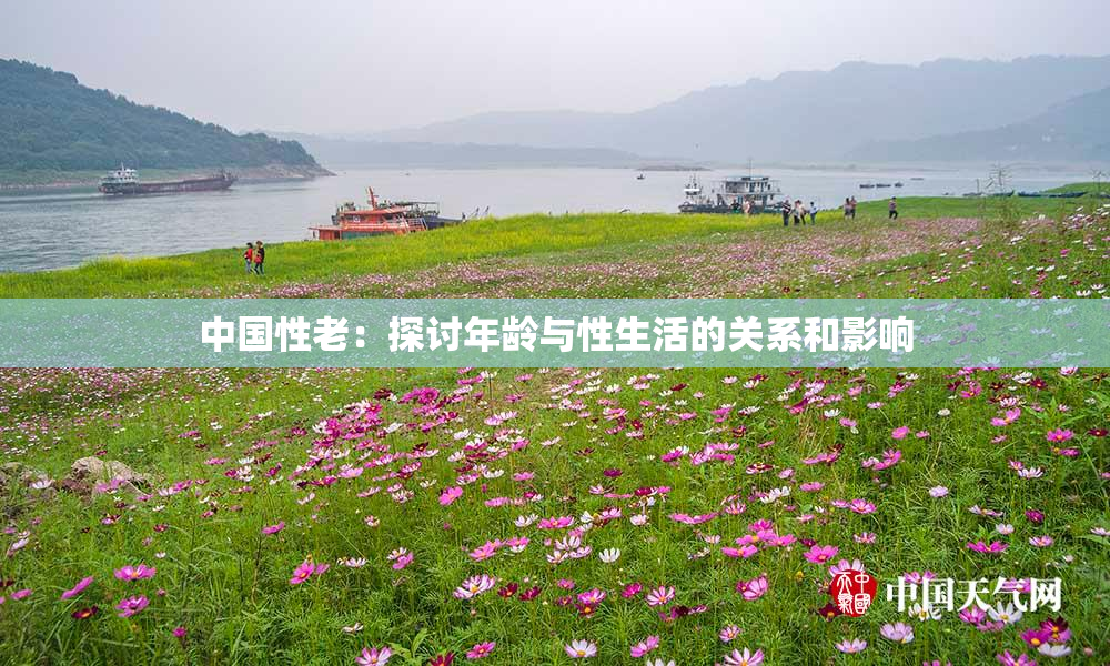 中国性老：探讨年龄与性生活的关系和影响