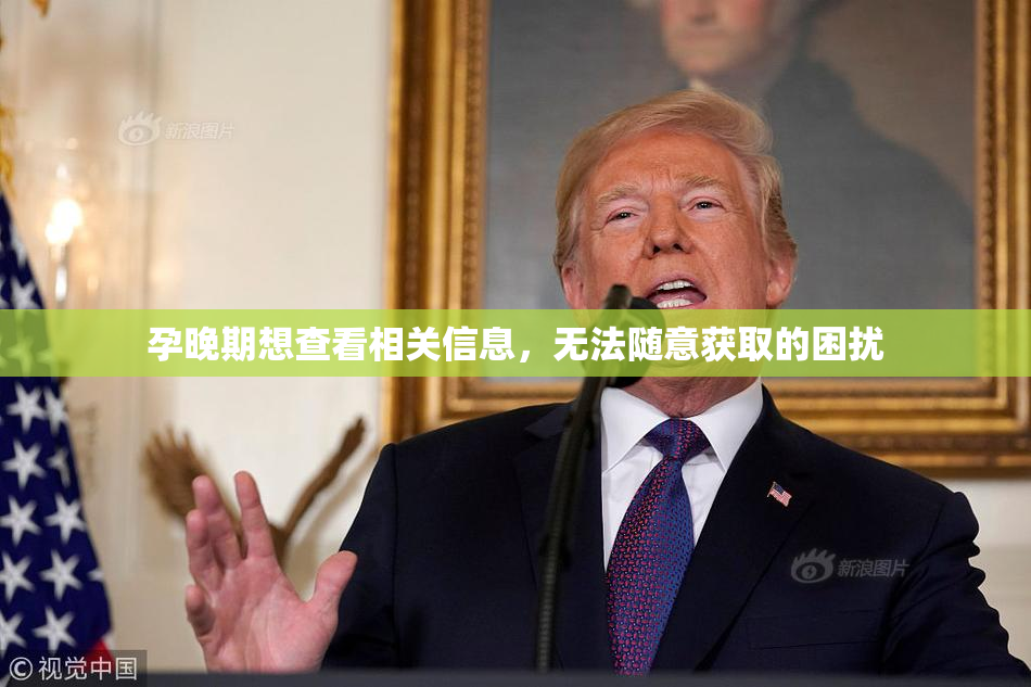 孕晚期想查看相关信息，无法随意获取的困扰