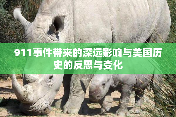 911事件带来的深远影响与美国历史的反思与变化