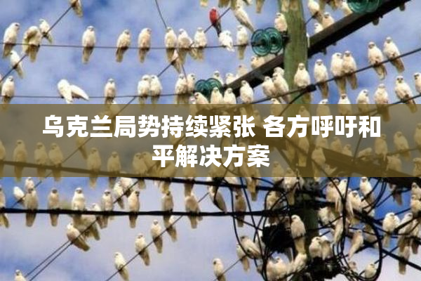 乌克兰局势持续紧张 各方呼吁和平解决方案