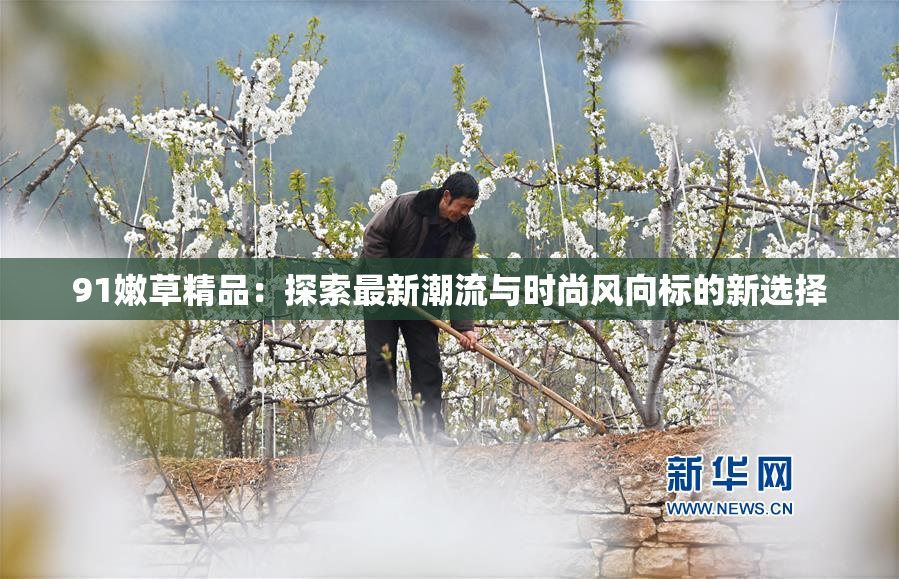 91嫩草精品：探索最新潮流与时尚风向标的新选择