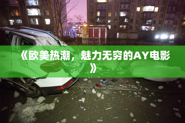 《欧美热潮，魅力无穷的AY电影》