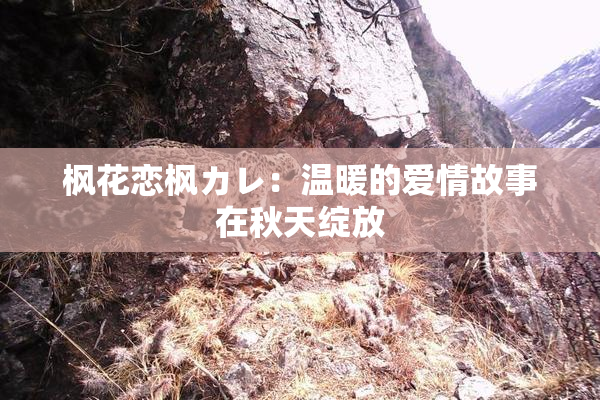 枫花恋枫カレ：温暖的爱情故事在秋天绽放
