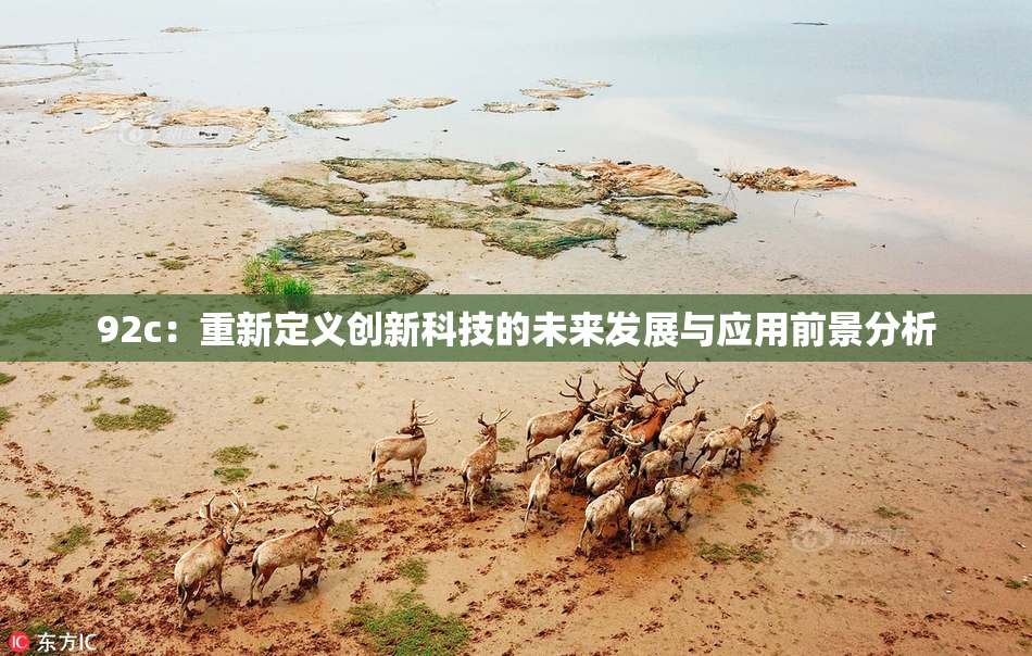 92c：重新定义创新科技的未来发展与应用前景分析