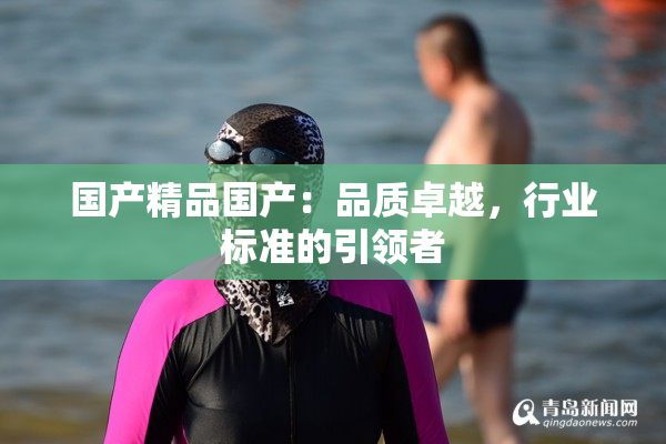 国产精品国产：品质卓越，行业标准的引领者
