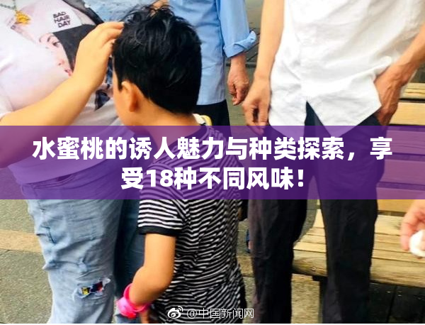 水蜜桃的诱人魅力与种类探索，享受18种不同风味！