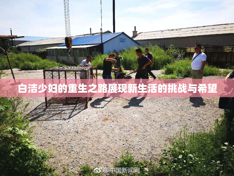 白洁少妇的重生之路展现新生活的挑战与希望