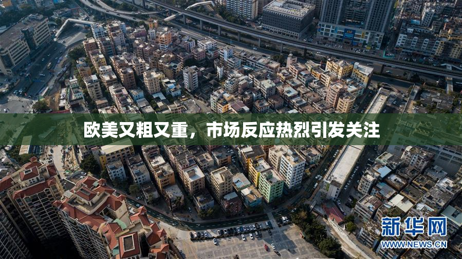 欧美又粗又重，市场反应热烈引发关注