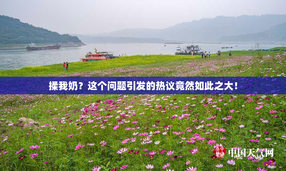 揉我奶？这个问题引发的热议竟然如此之大！