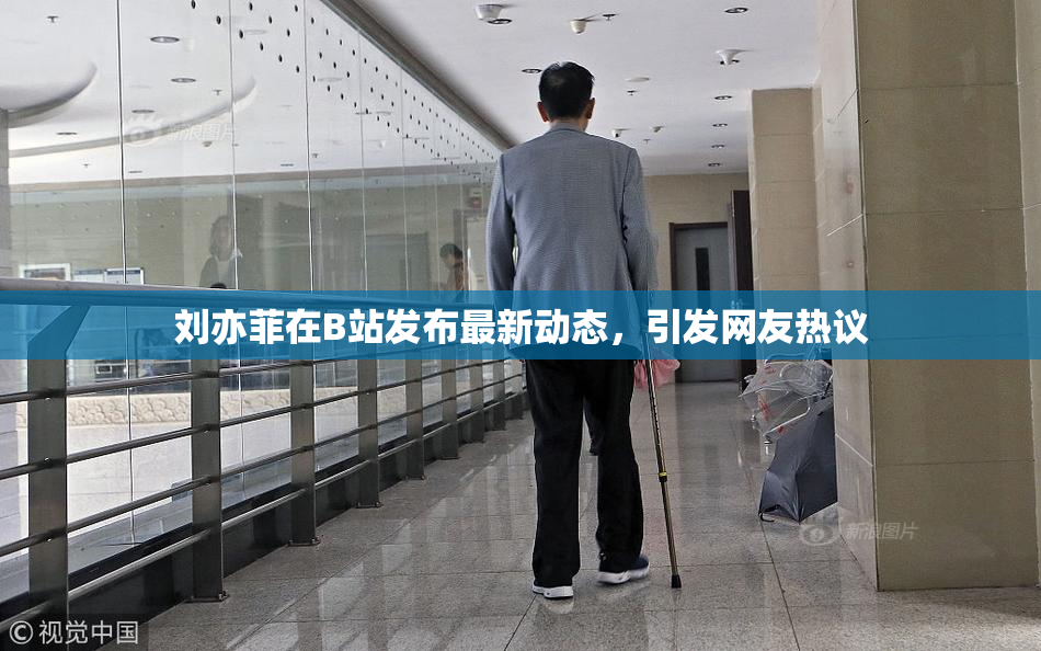 刘亦菲在B站发布最新动态，引发网友热议