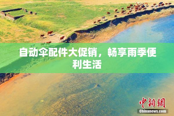 自动伞配件大促销，畅享雨季便利生活