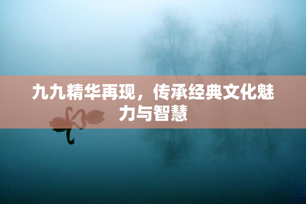 九九精华再现，传承经典文化魅力与智慧