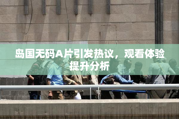 岛国无码A片引发热议，观看体验提升分析