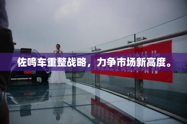 佐鸣车重整战略，力争市场新高度。