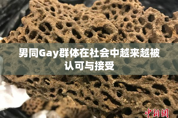 男同Gay群体在社会中越来越被认可与接受